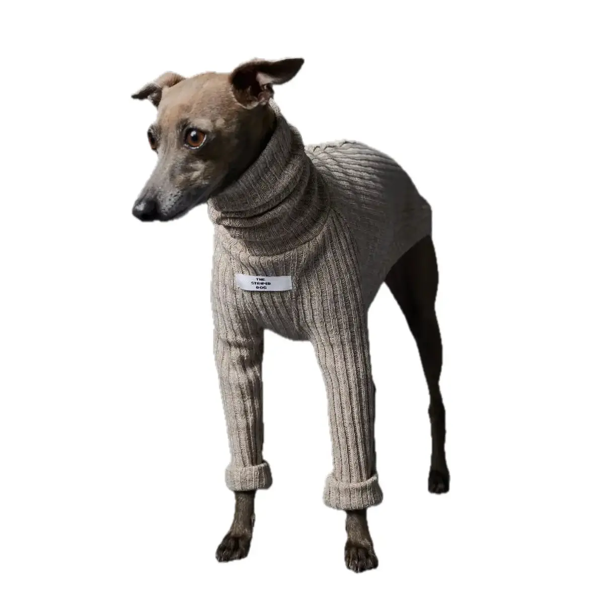 The Striped Dog - Palmdale Sabbia 1
