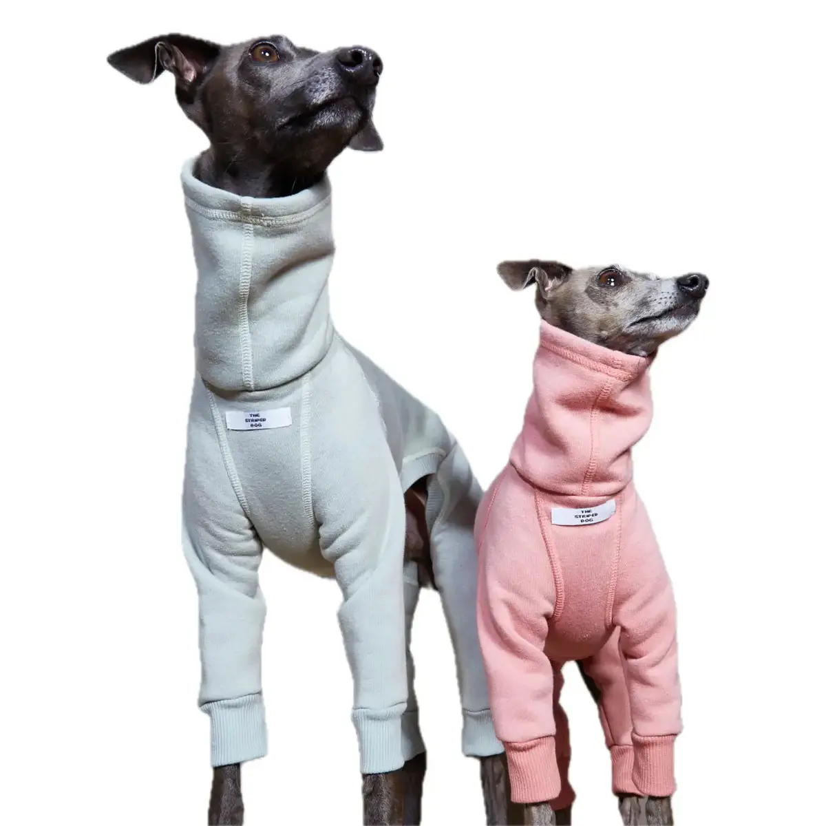 The Striped Dog - Riverside Rosa 5
