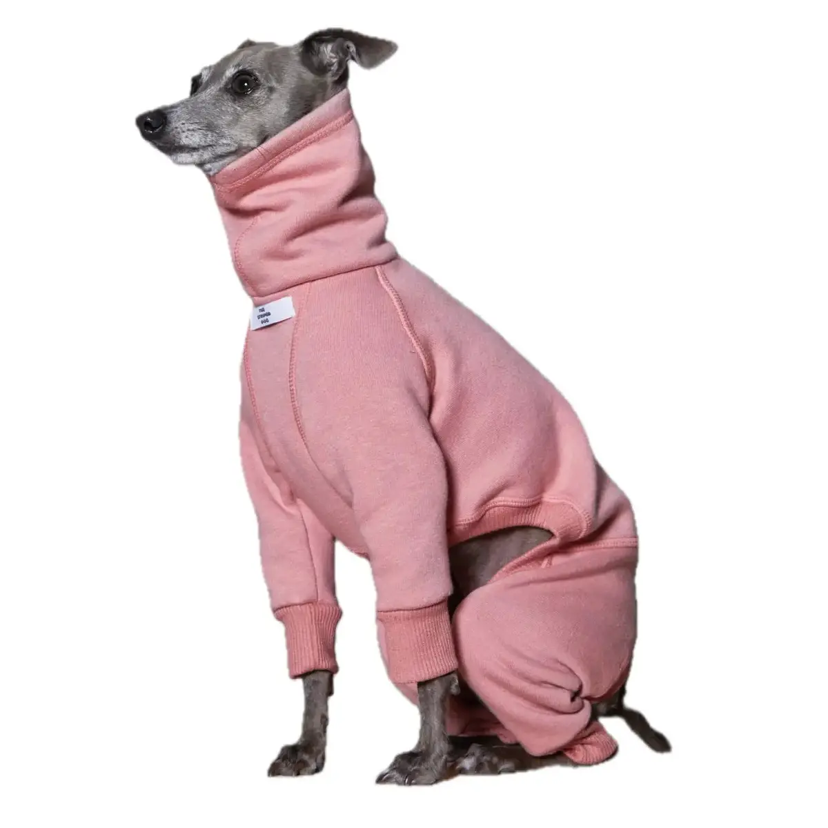 The Striped Dog - Riverside Rosa 4