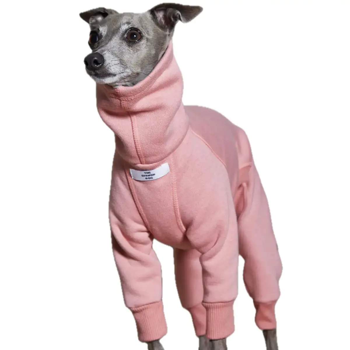 The Striped Dog - Riverside Rosa 1