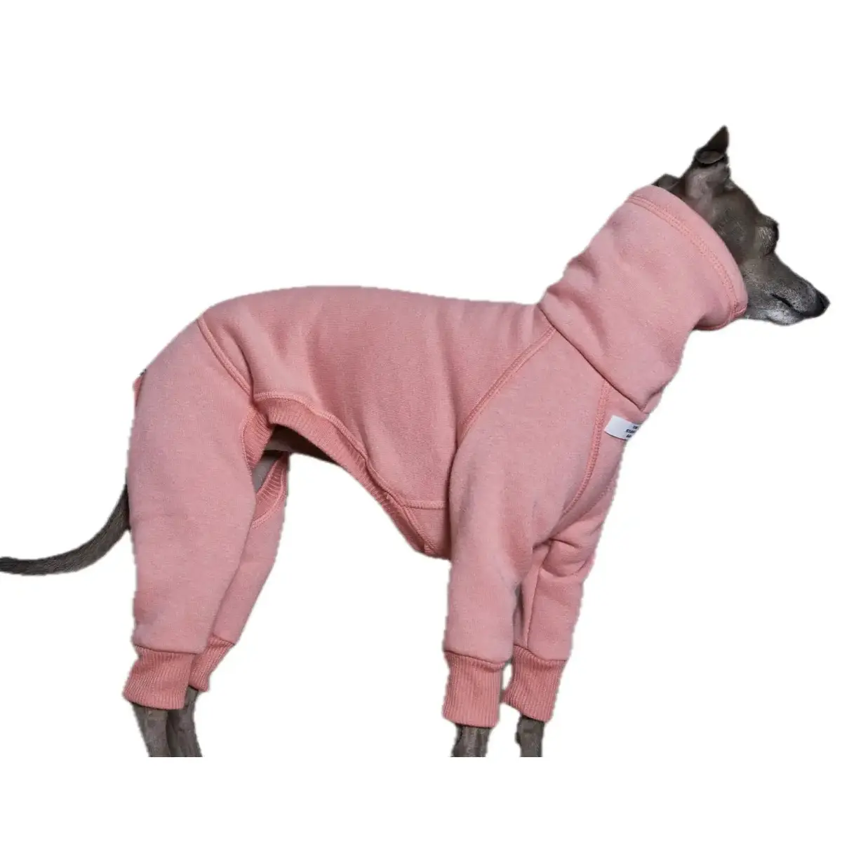 The Striped Dog - Riverside Rosa 2