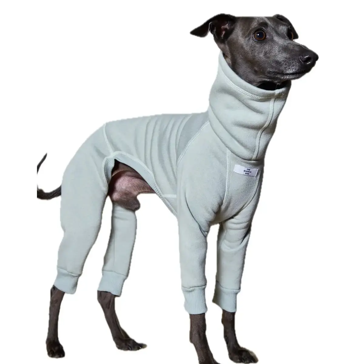 The Striped Dog - Riverside Verde Menta 1