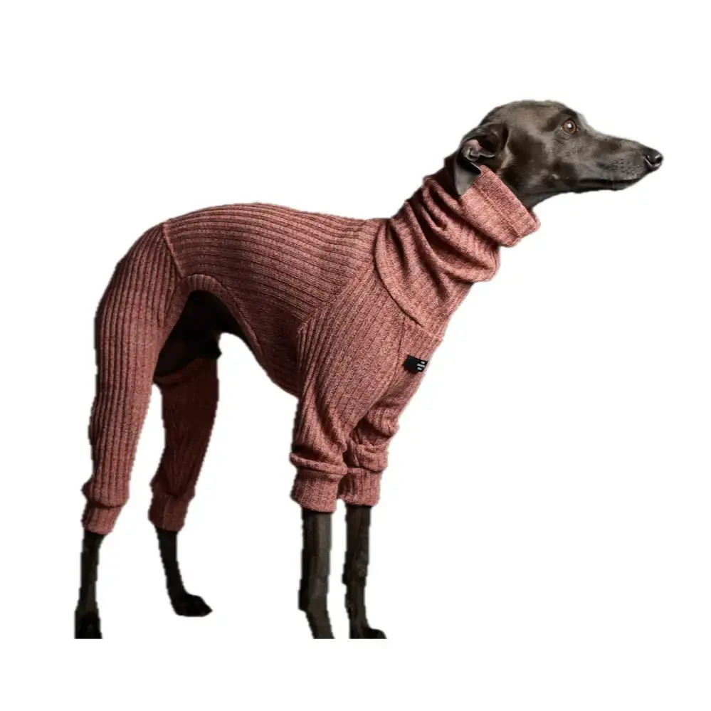 The Striped Dog - Santa Monica 4
