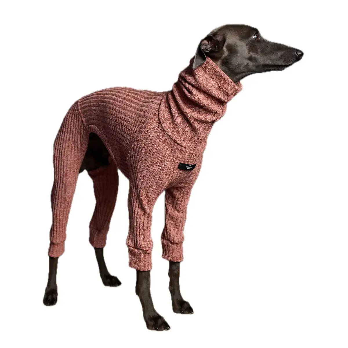 The Striped Dog - Santa Monica 1