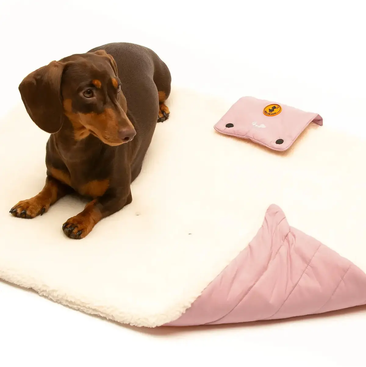 Save The Duck - Stuoia Portatile Imbottita Per Cani 1