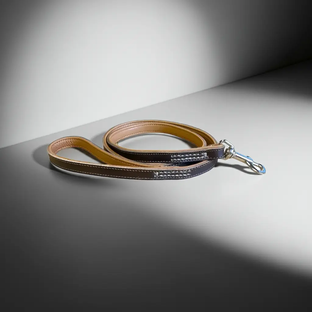 Pet Boutique - Elegant Guinzaglio In Cuoio 1