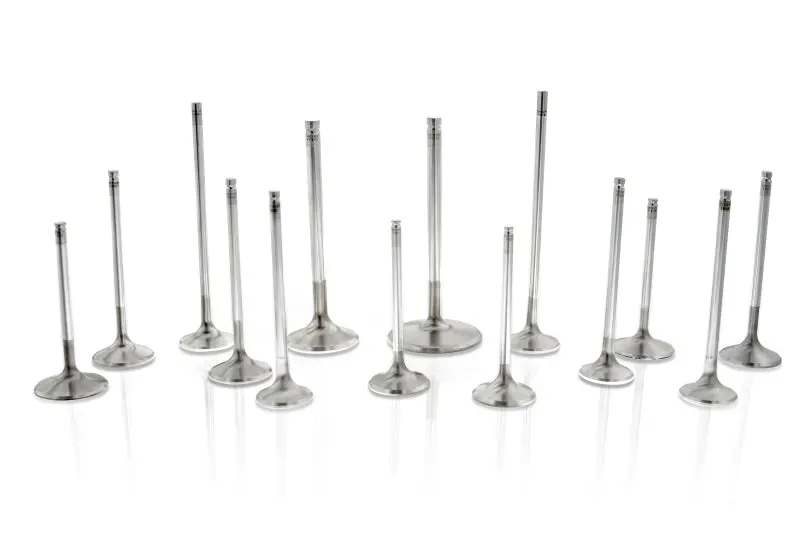 Ferrea High-Performance Exhaust Valves For Vw Bdf Engine – 29.00Mm, Triple-Groove Design, 12-Piece Set 1