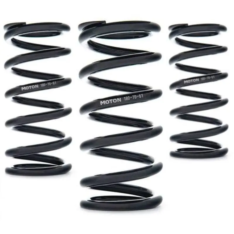 Ast Linear Race Springs – 130Mm Length, 320 N/Mm Rate, 61Mm Id – Pair 1