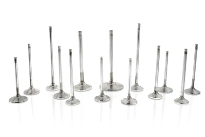 Ferrea Competition Plus Intake Valve Set — 2.3" Head, 5/16" Stem, For Chevrolet Big Block Engines 1